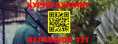 гидра Славгород
