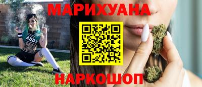 гидра Славгород