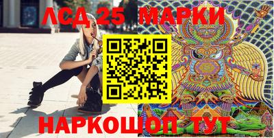 гидра Славгород