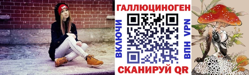купить   Темрюк  Псилоцибиновые грибы Cubensis 