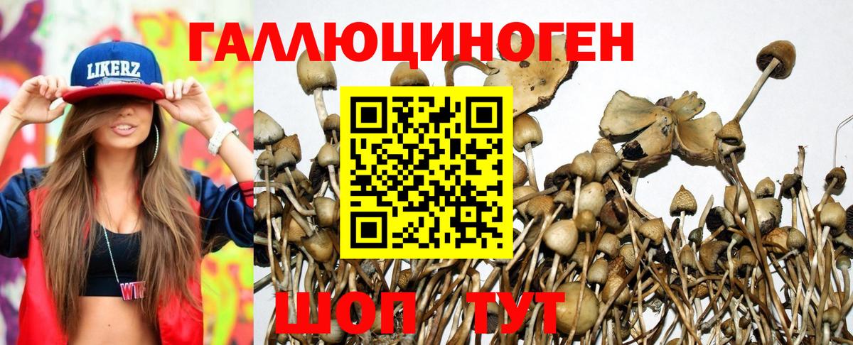 Псилоцибиновые грибы мухоморы  Псилоцибиновые грибы GOLDEN TEACHER  Темрюк  Вход с VPN 