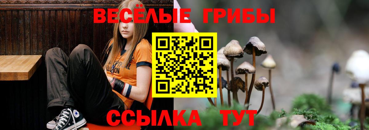Псилоцибиновые грибы мухоморы Темрюк
